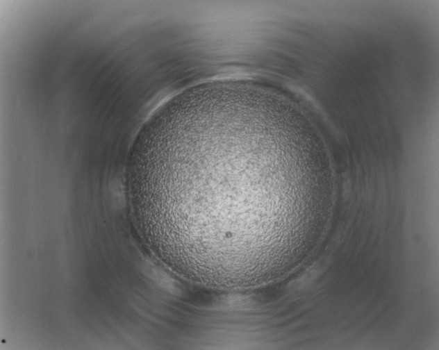 X0000062691409200512281820