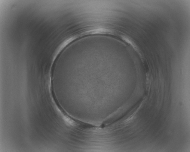 X0000062691418200512281820