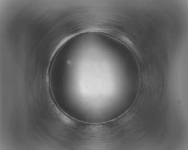 X0000062691428200512281820