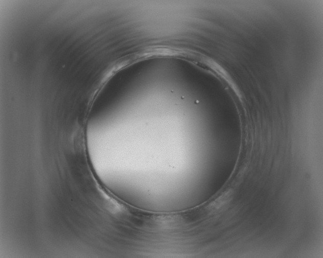X0000062691433200512281820