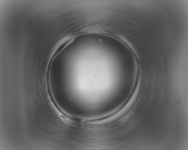 X0000062691434200512281820