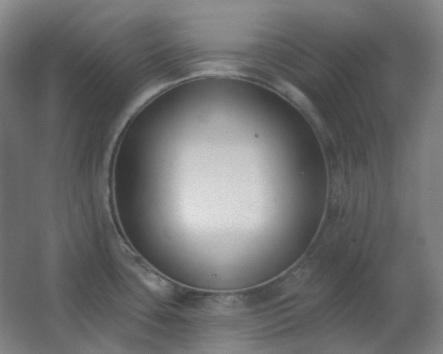 X0000062691435200512281820