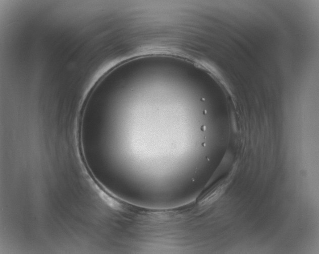 X0000062691438200512281820