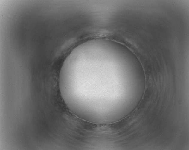 X0000062691447200512281819