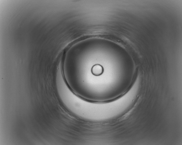 X0000062691449200512281819