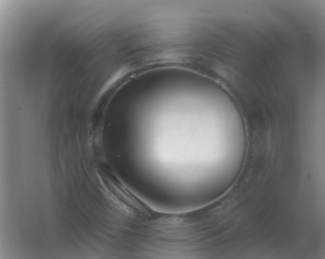 X0000062691450200512281819