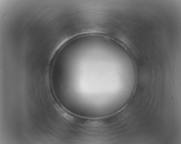 X0000062691460200512281819