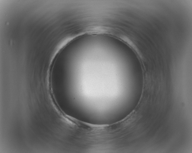 X0000062691477200512281819