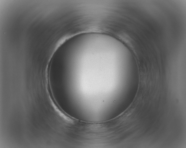 X0000062691479200512281819