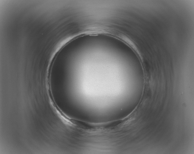 X0000062691485200512281819