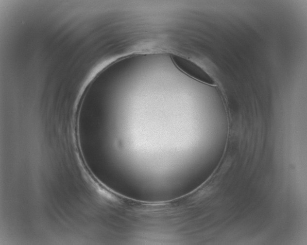 X0000062691486200512281819