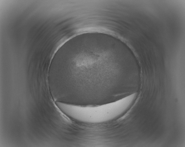 X0000062691529200512281819