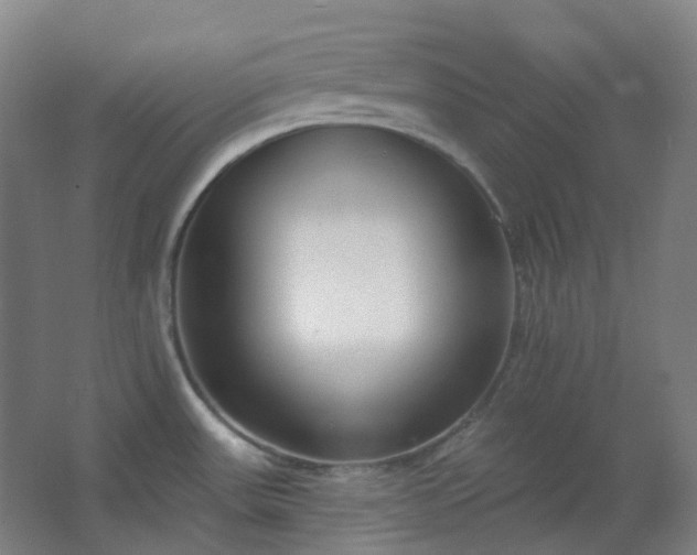 X0000062691531200512281819