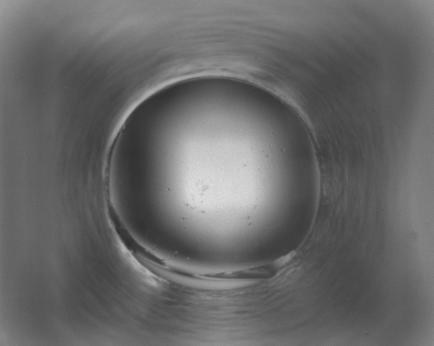X0000062691532200512281819