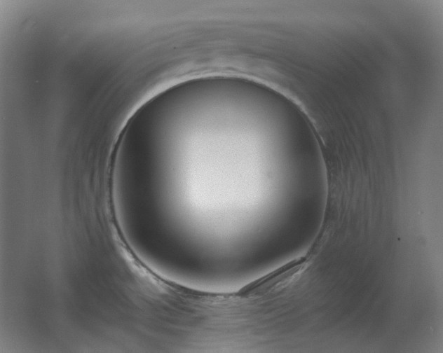 X0000062691534200512281819
