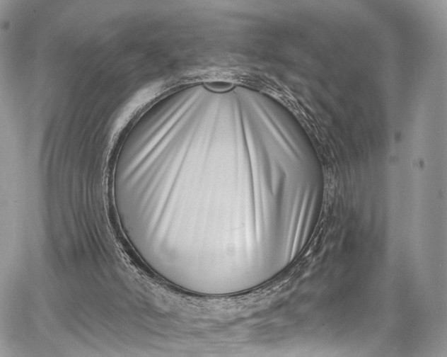 X0000062690006200601041113