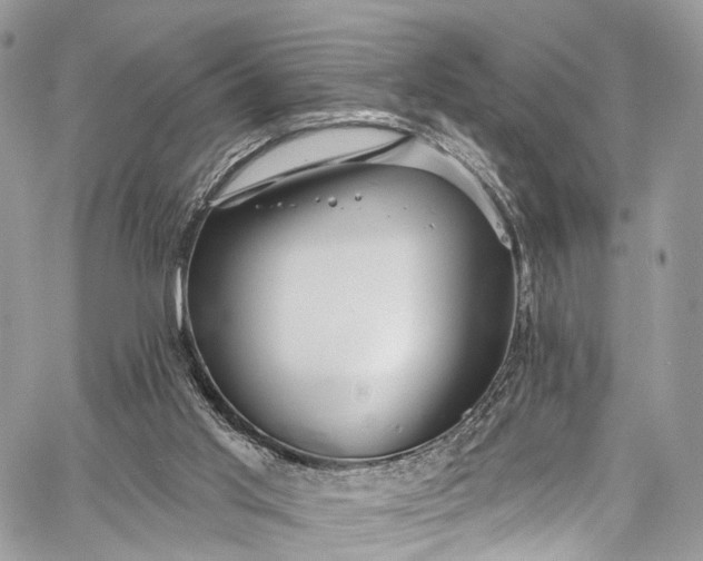 X0000062690013200601041113