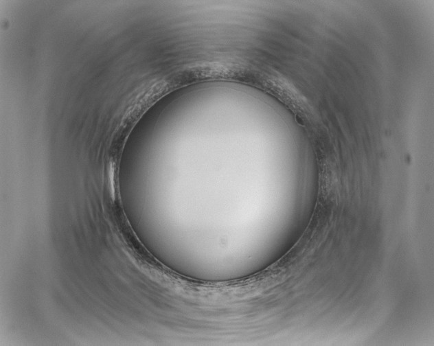 X0000062690022200601041113