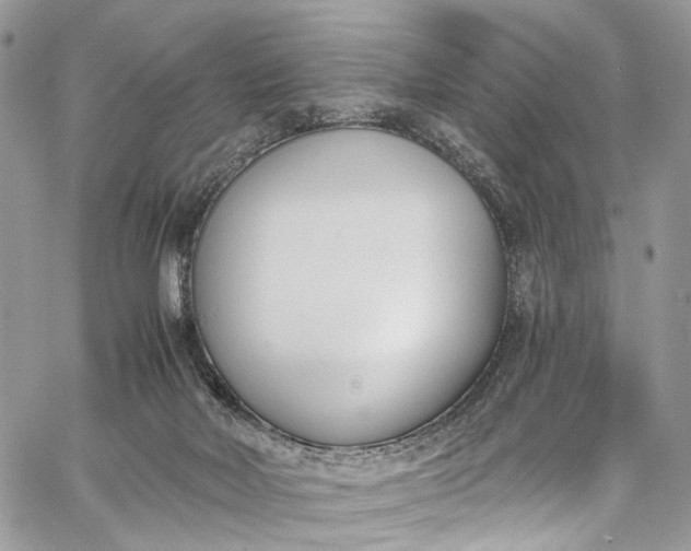 X0000062690026200601041113