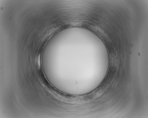 X0000062690028200601041113