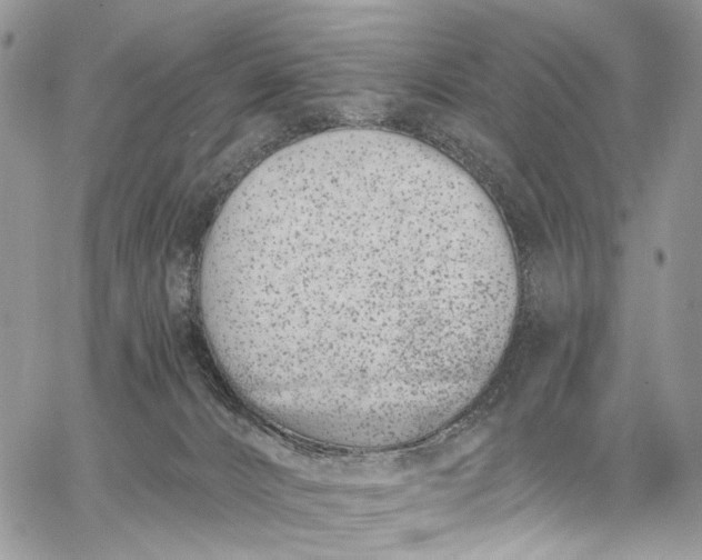 X0000062690032200601041113