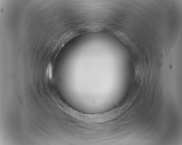 X0000062690046200601041113