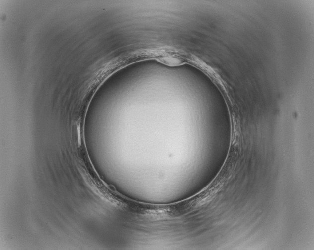 X0000062690061200601041112