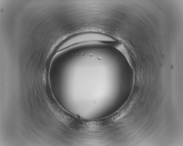 X0000062690064200601041112