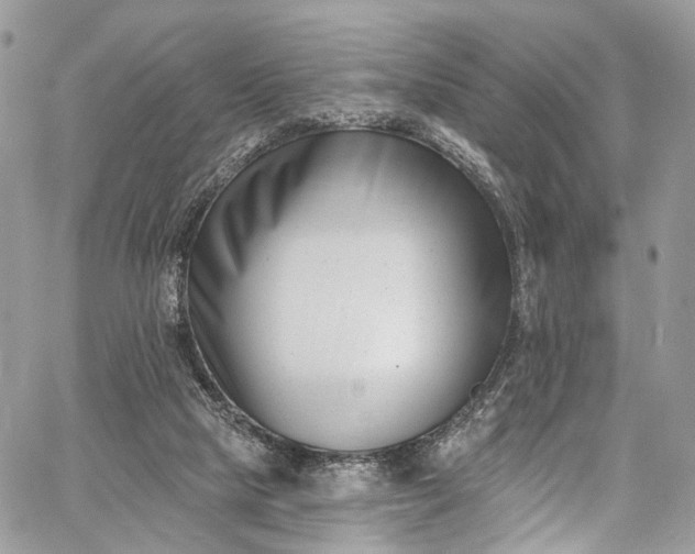 X0000062690065200601041112