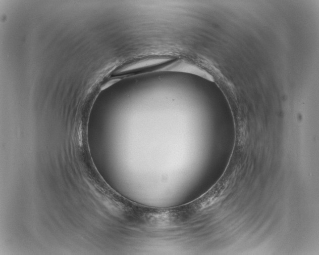 X0000062690068200601041112