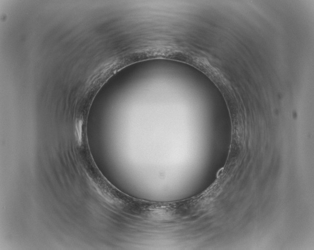 X0000062690070200601041112