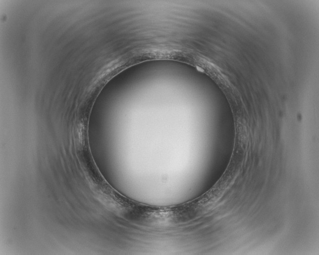 X0000062690071200601041112