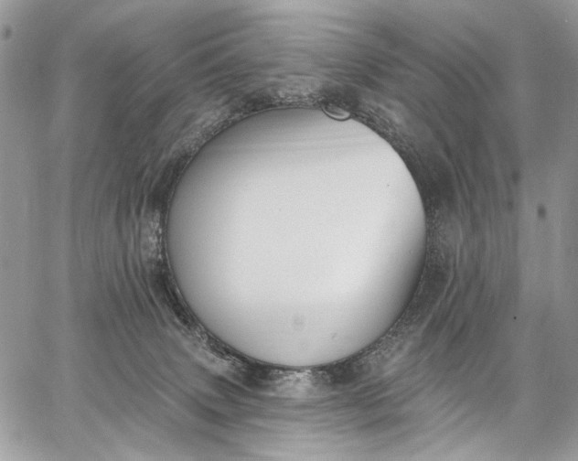 X0000062690083200601041112
