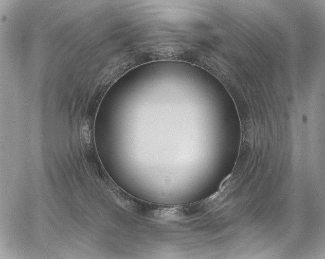 X0000062690086200601041112