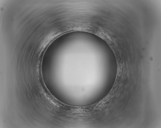 X0000062690098200601041112