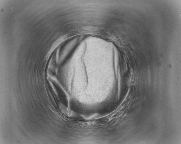X0000062690099200601041112