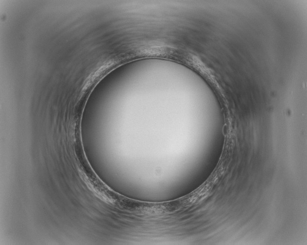 X0000062690106200601041112