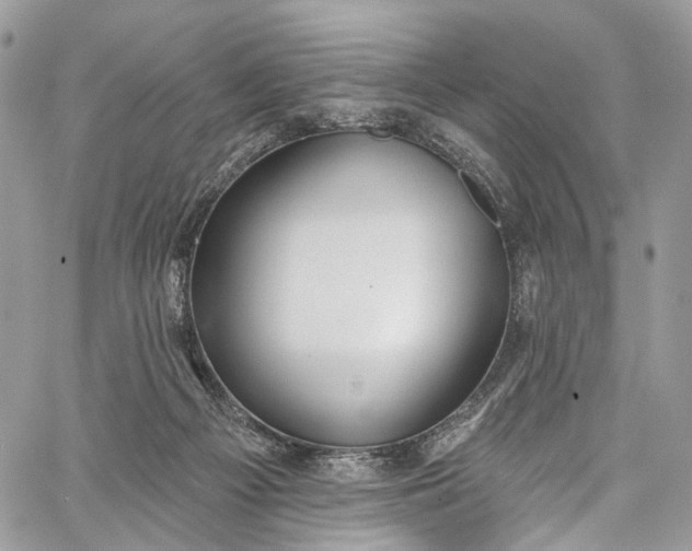X0000062690121200601041111