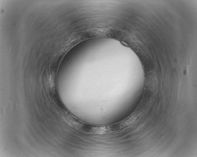 X0000062690131200601041111