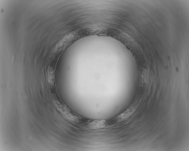 X0000062690138200601041111