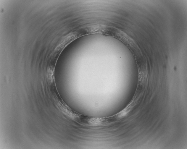 X0000062690142200601041111