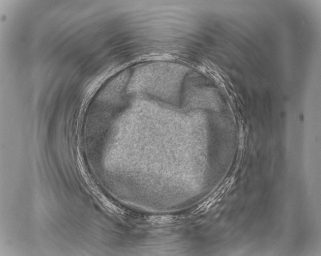 X0000062690145200601041110