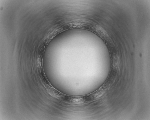X0000062690173200601041111