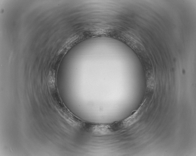 X0000062690179200601041111