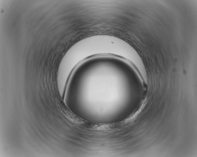X0000062690186200601041111