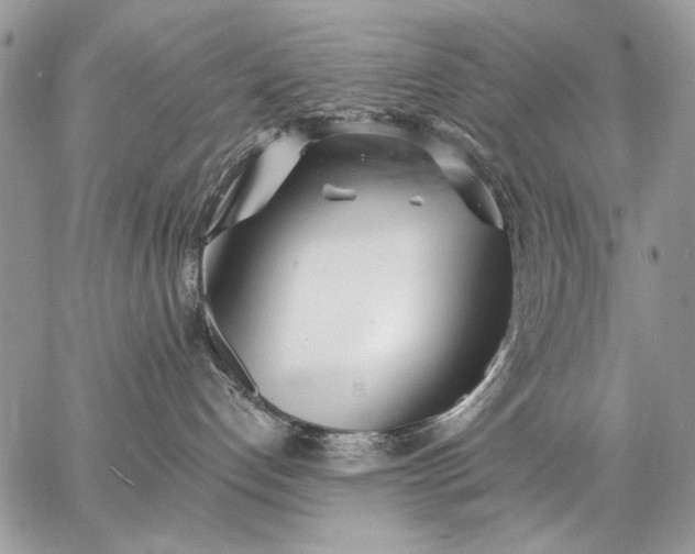 X0000062690192200601041111