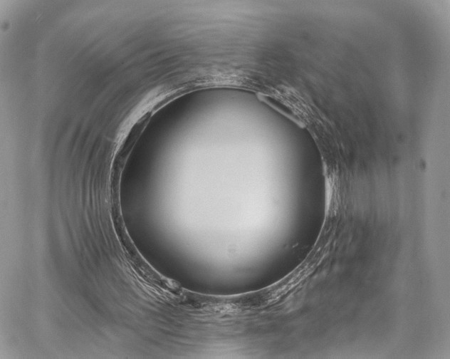 X0000062690195200601041110