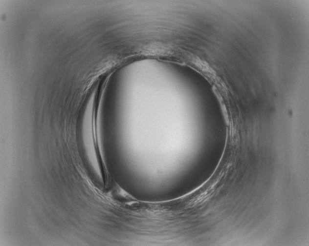X0000062690201200601041110