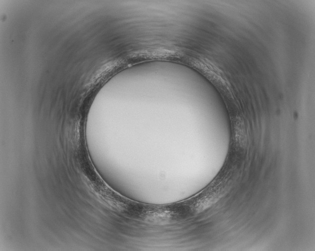 X0000062690206200601041110