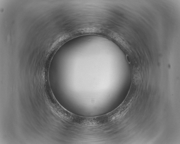 X0000062690207200601041110